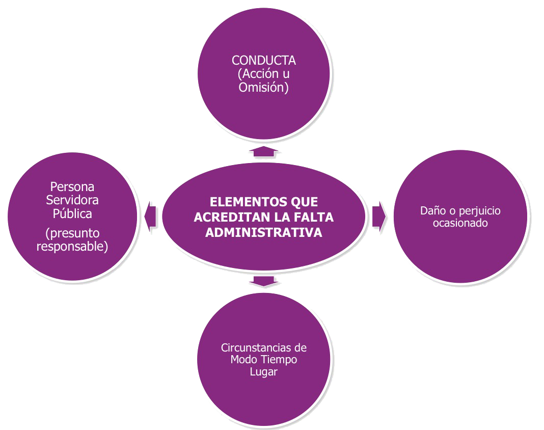 procedimiento